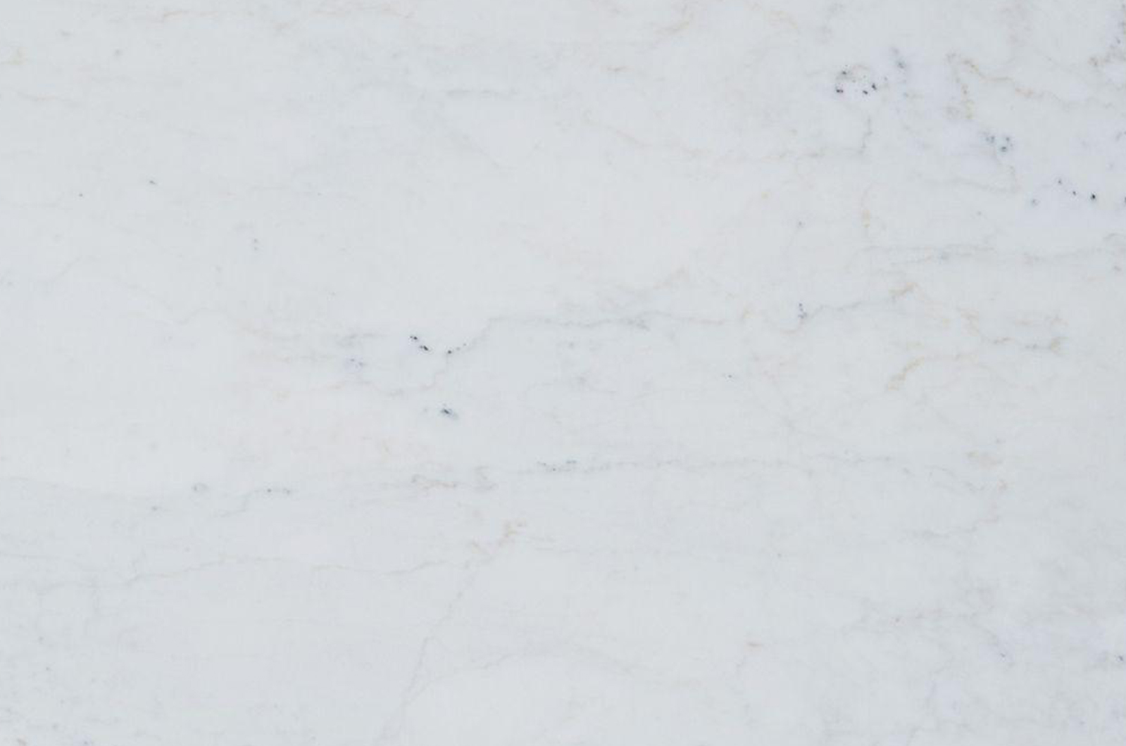 Michelangelo Carrara White Marble 